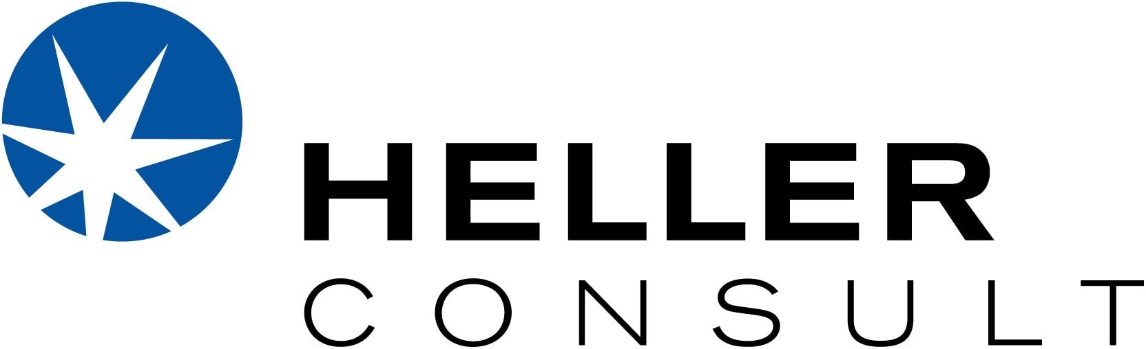 Heller Consult Tax and Business Solutions GmbH